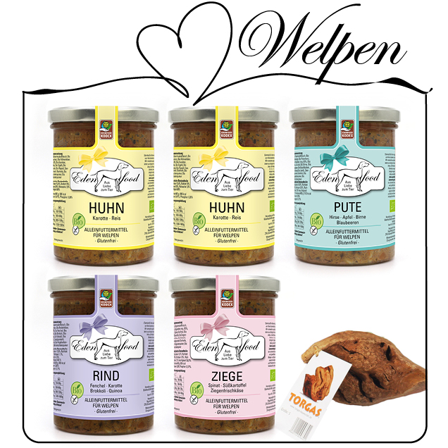 Probierpaket Welpe - 5x370g + TORGAS Kauwurzel