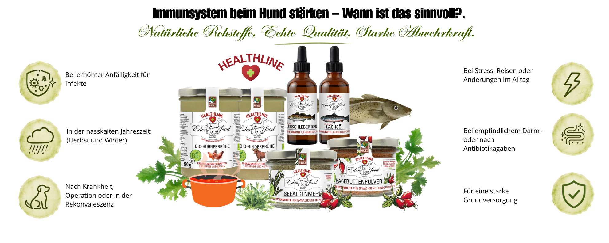 Edenfood Healthline Immunsystem Sortiment – Bio-Hühnerbrühe, Dorschlebertran, Lachsöl, Seealgenmehl und Hagebuttenpulver – natürliche Unterstützung für das Immunsystem beim Hund, ohne künstliche Zusatzstoffe, aus der Gutshofküche Bayern