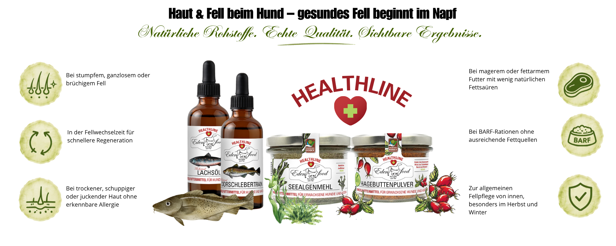 Edenfood Healthline Haut & Fell Sortiment – Lachsöl, Dorschlebertran, Seealgenmehl und Hagebuttenpulver – natürliche Unterstützung für gesundes Fell und Haut beim Hund, ohne künstliche Zusatzstoffe, aus der Gutshofküche Bayern