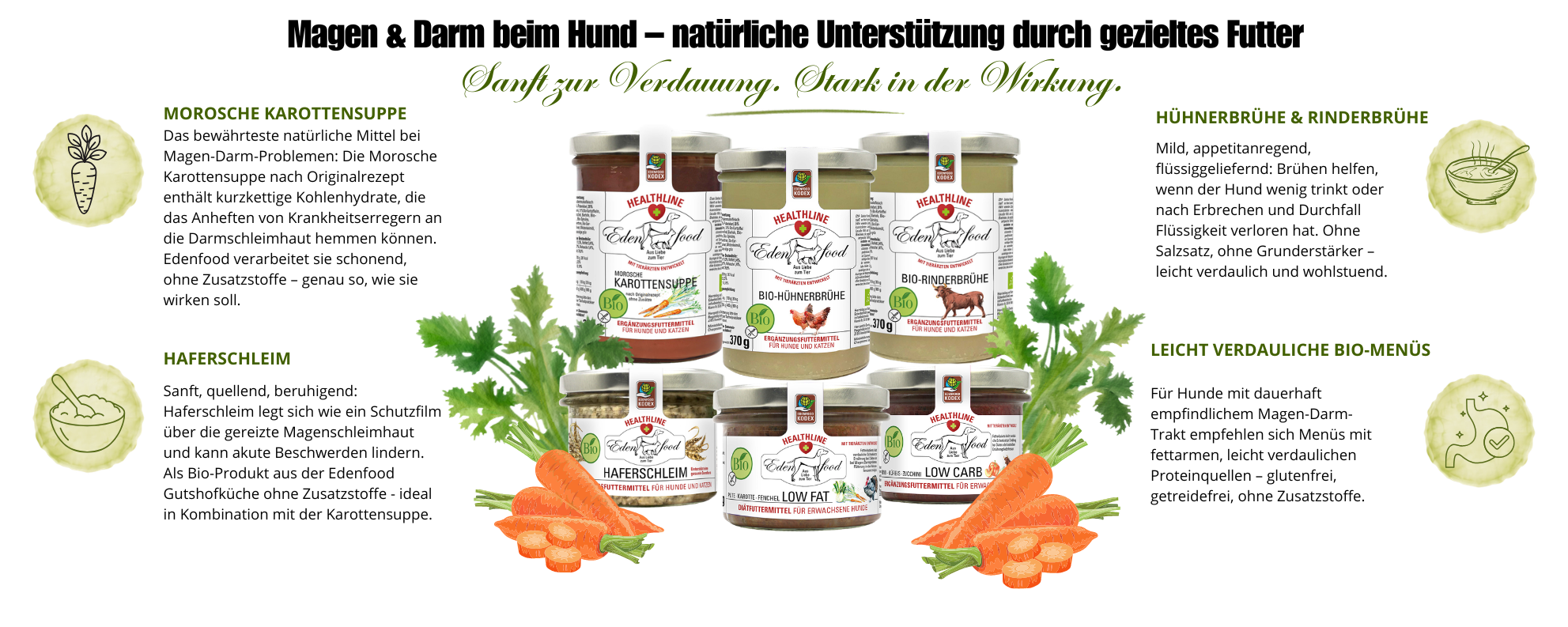 Edenfood Healthline Magen & Darm Sortiment – Morosche Karottensuppe, Bio-Hühnerbrühe, Bio-Rinderbrühe, Haferschleim, Low Fat und Low Carb Hundemenü – natürliche Unterstützung bei Magen-Darm-Problemen beim Hund, ohne künstliche Zusatzstoffe, aus der Gutshofküche Bayern