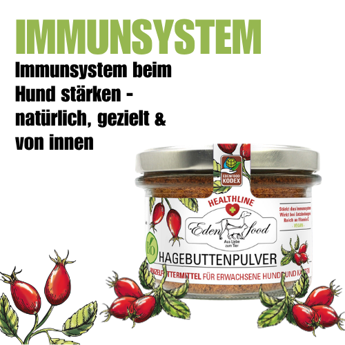 Edenfood Healthline Immunsystem – Hagebuttenpulver für Hunde und Katzen – natürliches Vitamin C zur Immununterstützung aus biologischem Anbau