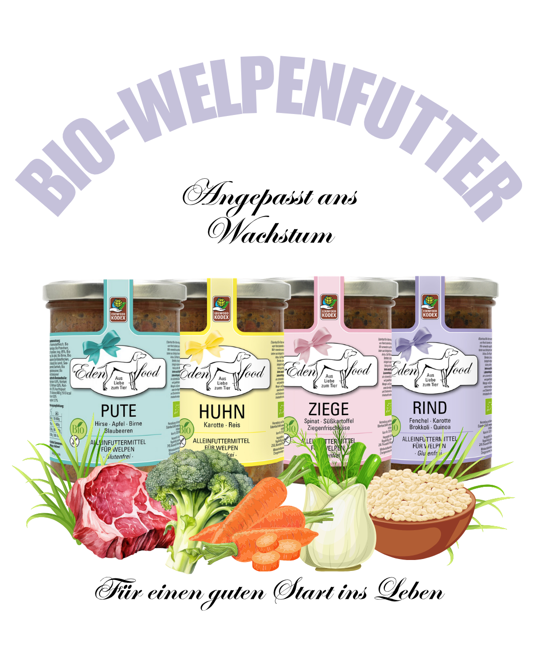Bio-Welpenfutter für Wachstum und Entwicklung