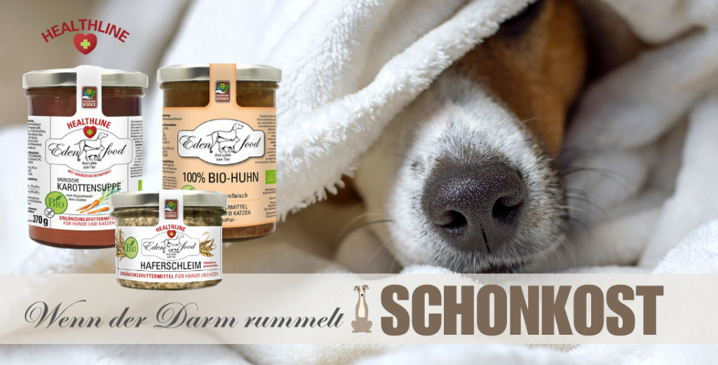 Schonende Bio-Schonkost für Hunde – ideal bei Verdauungsproblemen und sensibler Ernährung