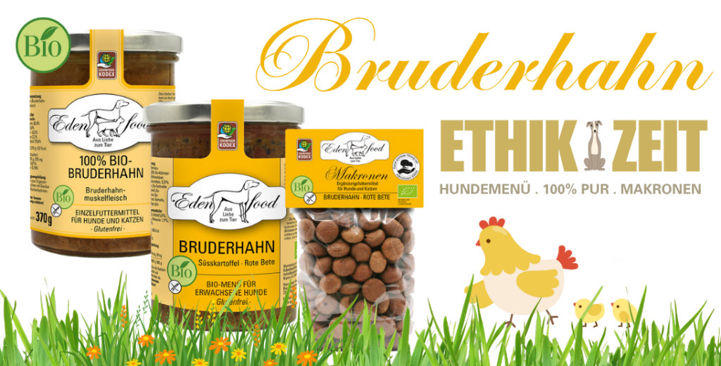 Ein nahrhaftes und ethisches Menü: Bio-Hundefutter aus nachhaltiger Haltung
